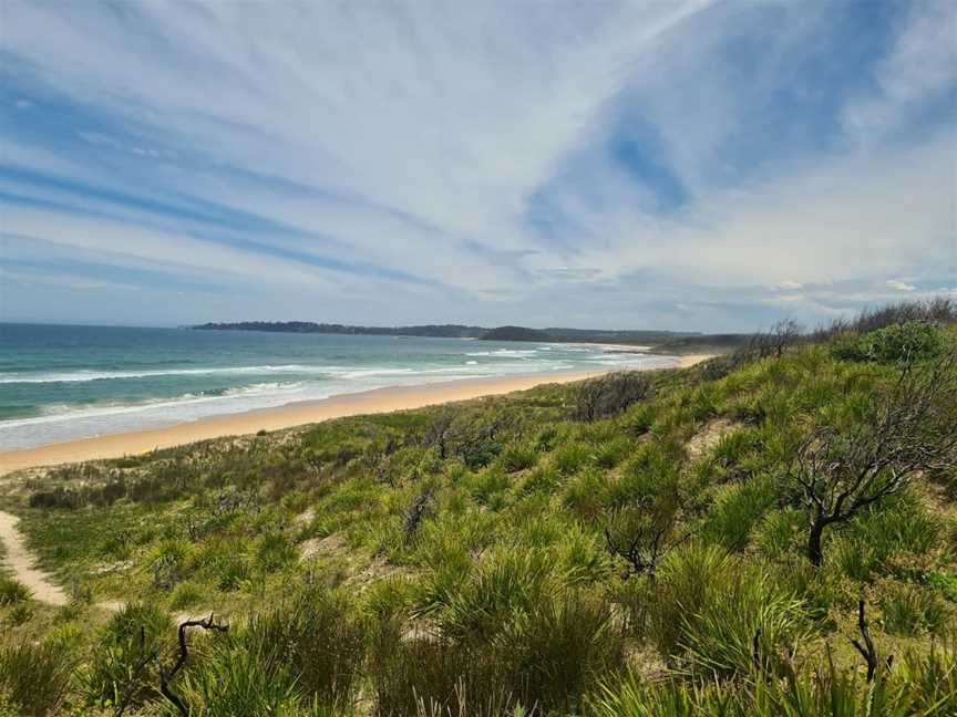 Conjola Beach picnic area, Lake Conjola, NSW