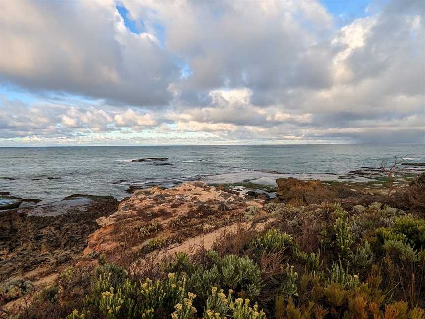 Beachport Conservation Park, Beachport, SA