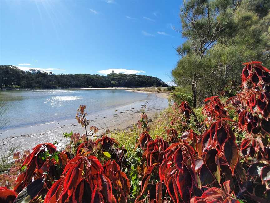 Woolgoolga Lake, Woolgoolga, NSW