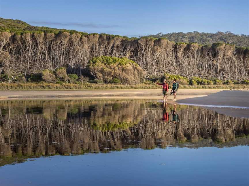 Wharf to Wharf Walk, Merimbula, NSW