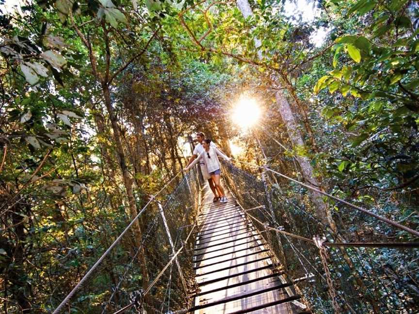 O'Reilly's Tree Top Walk, Canungra, QLD