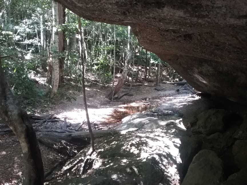 Newbys lookout, Lansdowne Forest, NSW