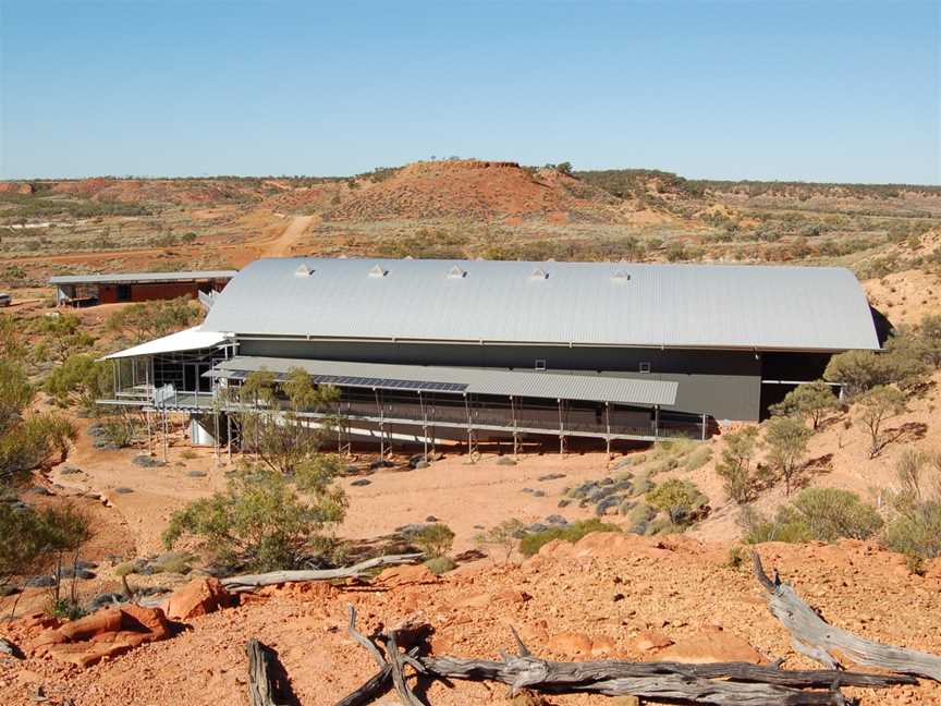 Lark Quarry Conservation Park, Winton, QLD