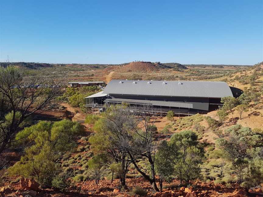 Lark Quarry Conservation Park, Winton, QLD