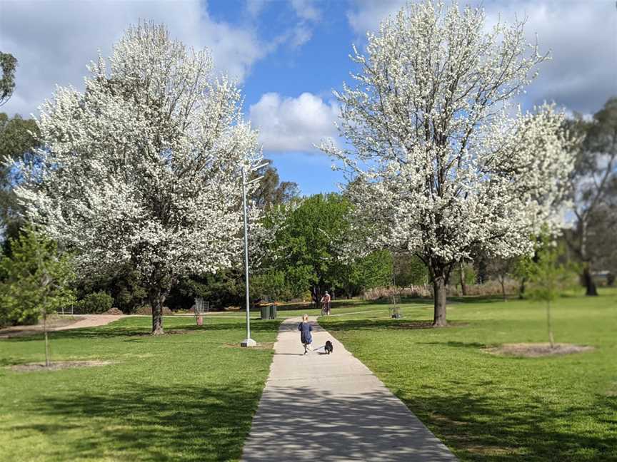 Les Stone Park, Wodonga, VIC