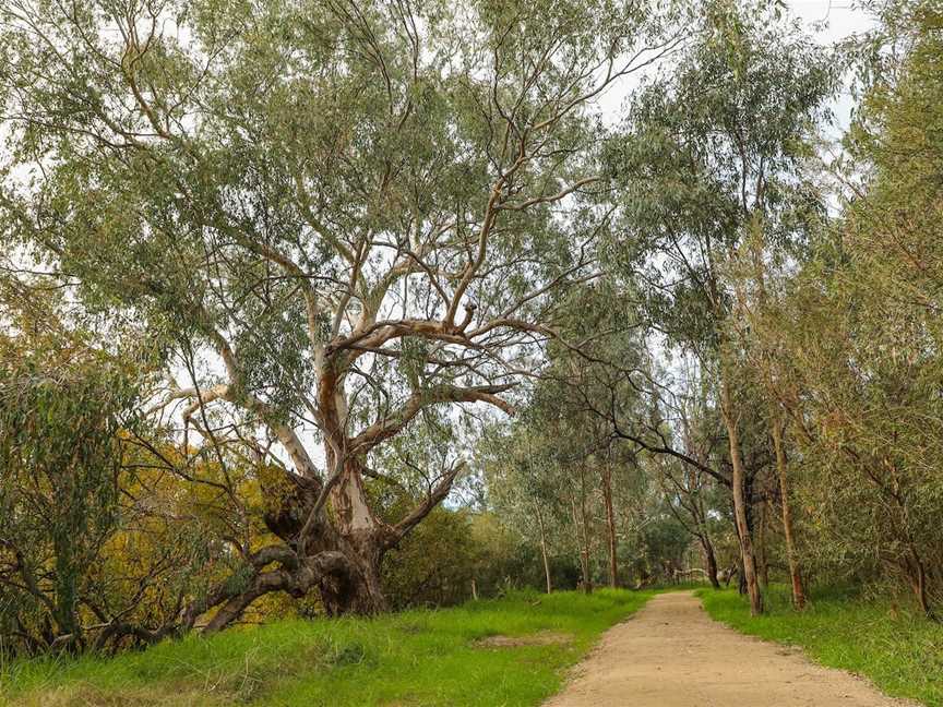 Crossing Place Trail, Gateway Island, VIC