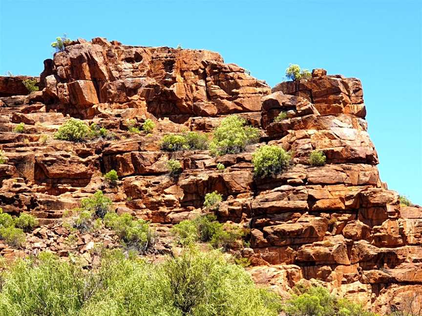 Whyalla Conservation Park, Whyalla, SA