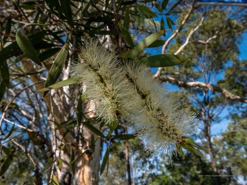 Limeburners Creek National Park, Limeburners Creek, NSW