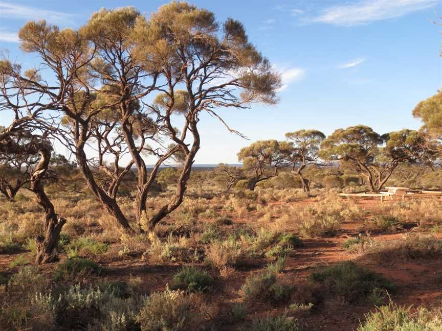 Whyalla Conservation Park, Whyalla, SA