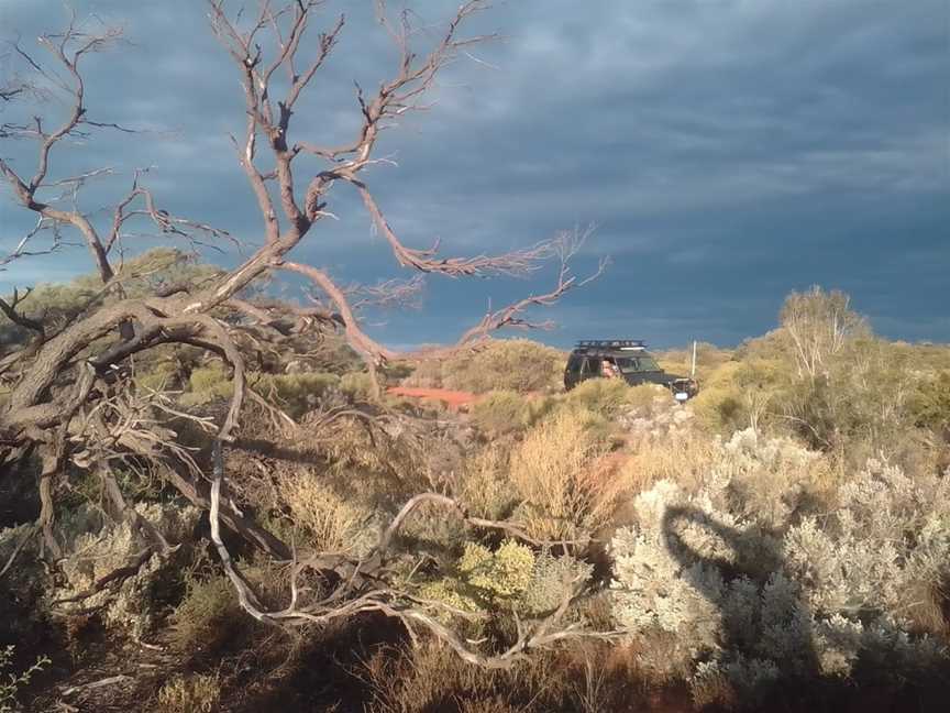 Whyalla Conservation Park, Whyalla, SA