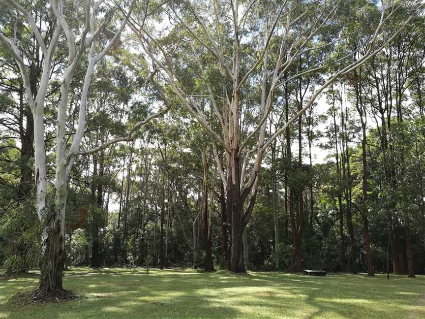 Macquarie Nature Reserve, Port Macquarie, NSW