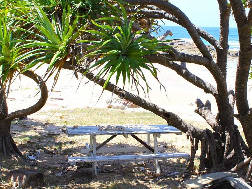 Little Shelley, Yuraygir, NSW