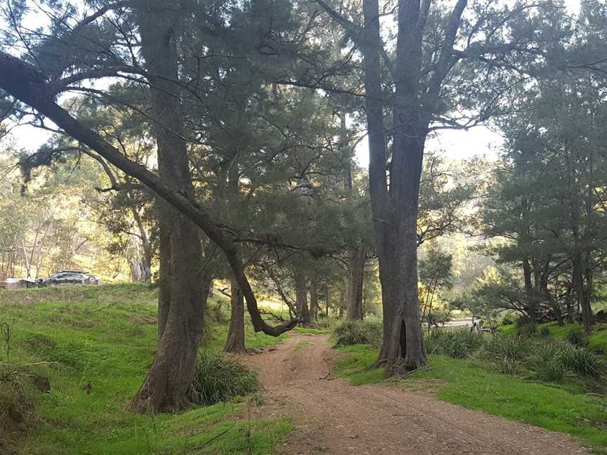 Turon National Park, Capertee, NSW