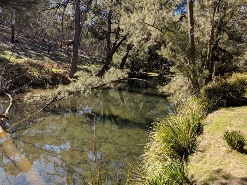 Turon National Park, Capertee, NSW