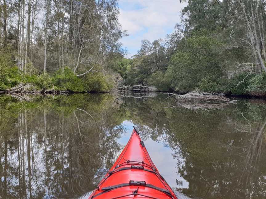 Coolongolook River, Coolongolook, NSW