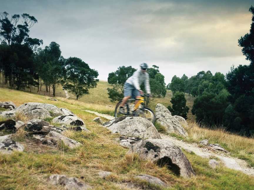 Lysterfield Park, Lysterfield, VIC