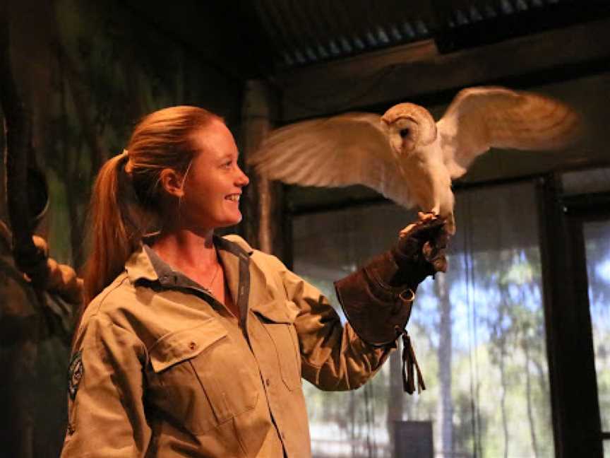 David Fleay Wildlife Park, Burleigh Heads, QLD