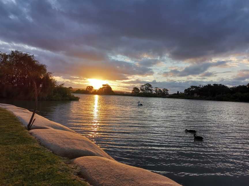 Thiele Reserve, Murray Bridge, SA