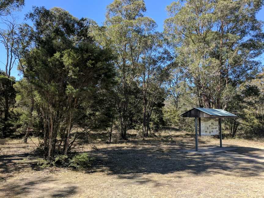 Astills picnic area, Lovedale, NSW