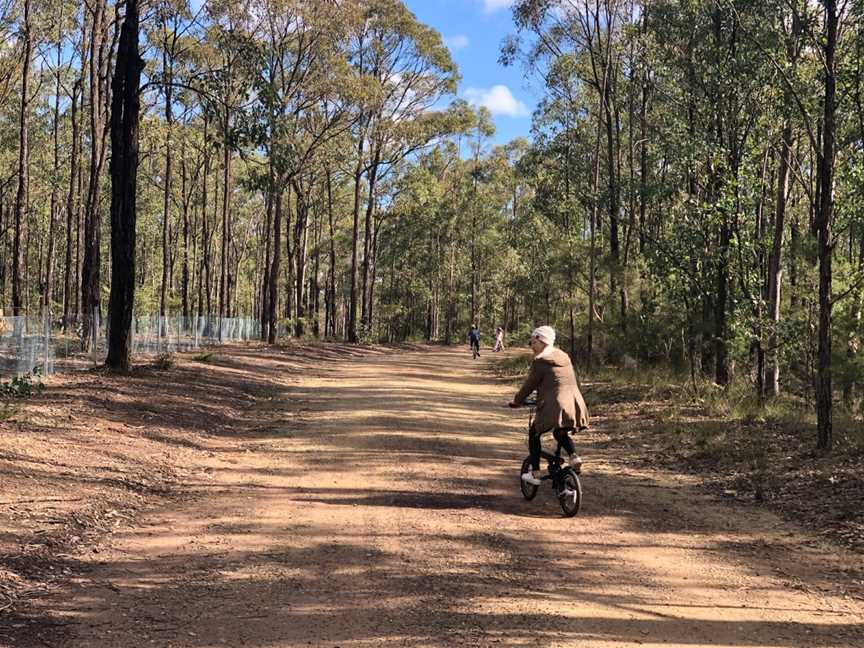 Astills picnic area, Lovedale, NSW