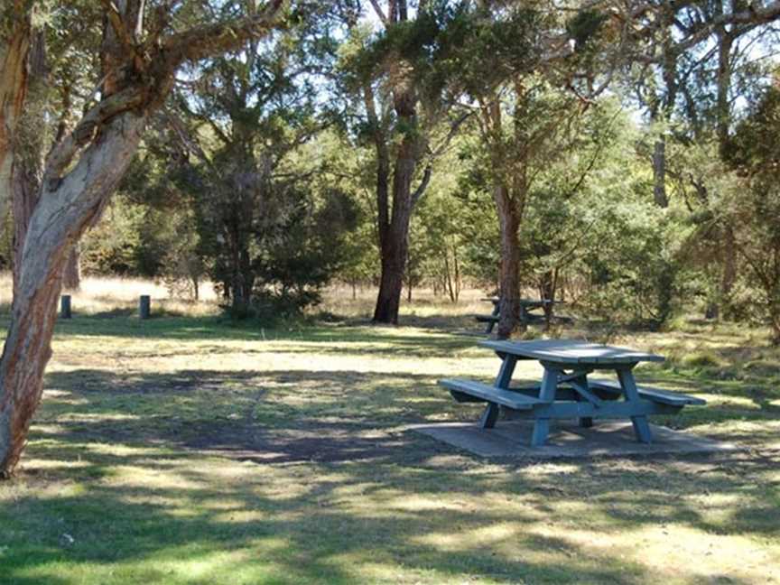 Astills picnic area, Lovedale, NSW