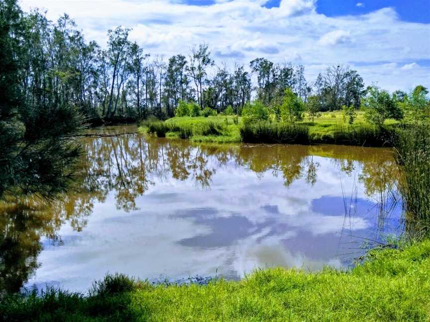 Everlasting Swamp National Park, Lower Southgate, NSW