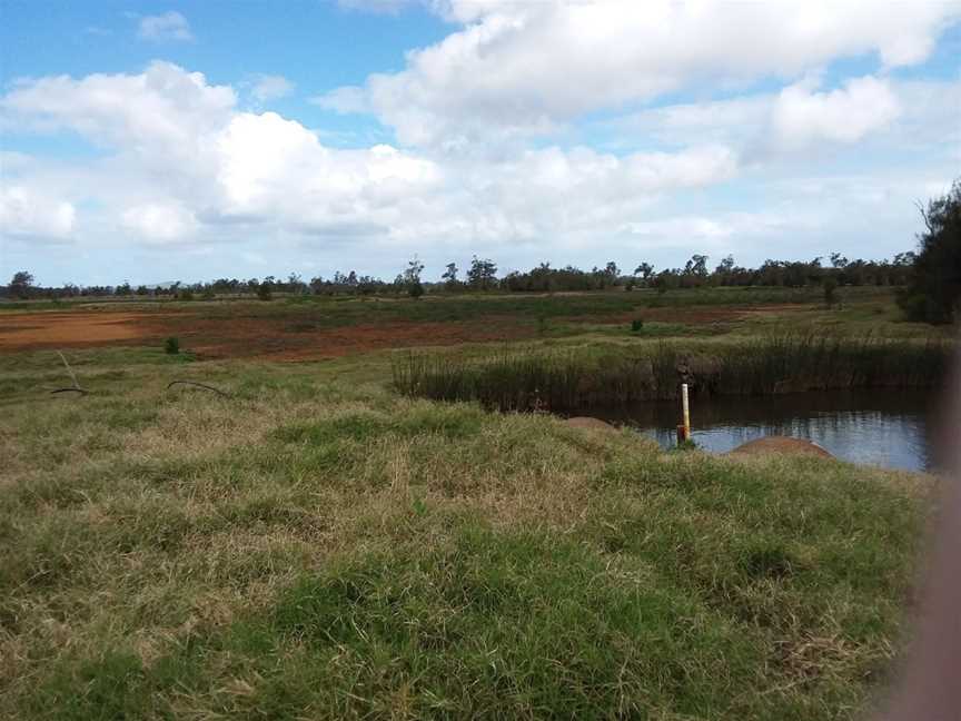 Everlasting Swamp National Park, Lower Southgate, NSW