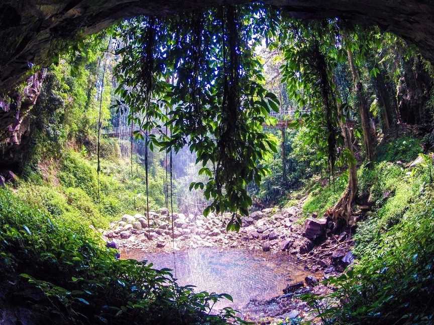 Crystal Shower Falls Walk, Dorrigo Mountain, NSW