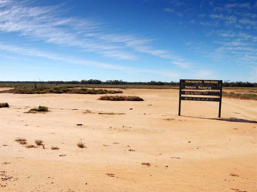 Macquarie Marshes Nature Reserve, Macquarie Marshes, NSW