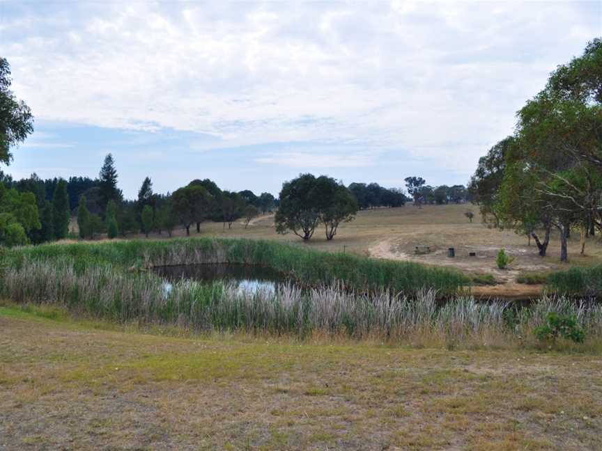 Macquarie Woods Recreation Area, Vittoria, NSW