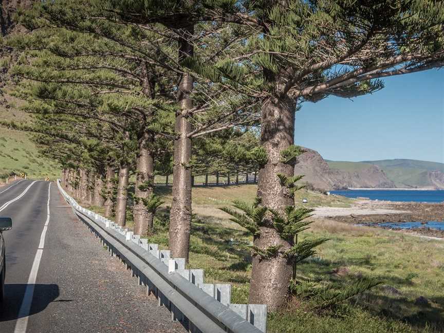 Lady Bay Beach, Wirrina Cove, SA