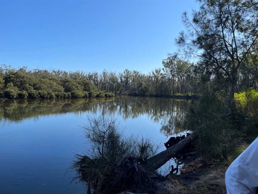 Buckleys Beach, Lake Conjola, NSW