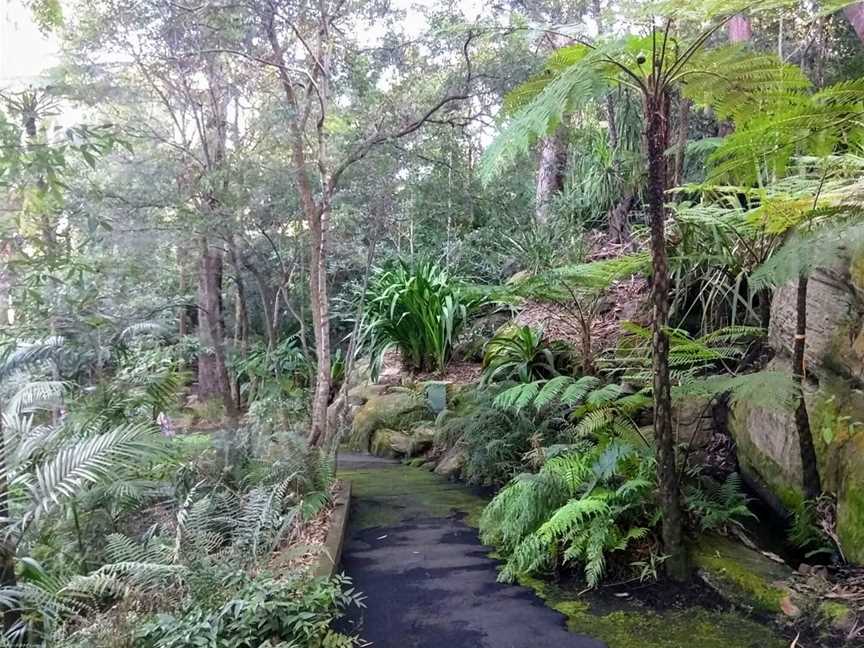 Joseph Banks Native Plants Reserve, Kareela, NSW