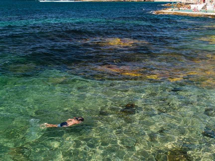 Shelly Beach,  Manly, Manly, NSW