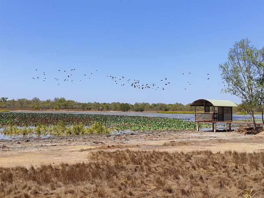 Bird Billabong, Marrakai, NT