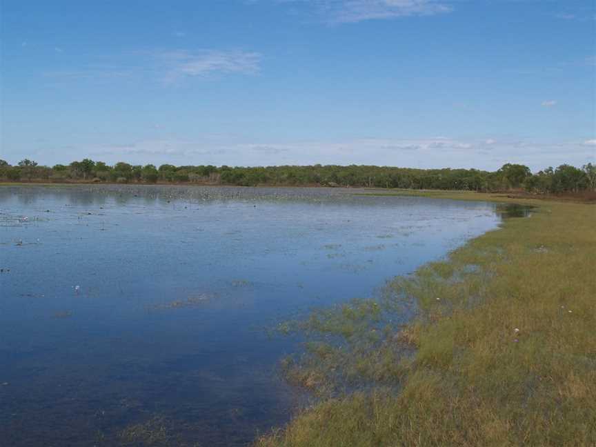 Bird Billabong, Marrakai, NT