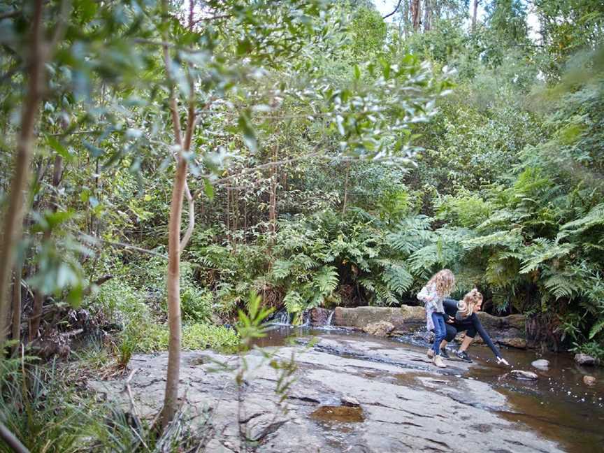 Masons Falls, Kinglake West, VIC