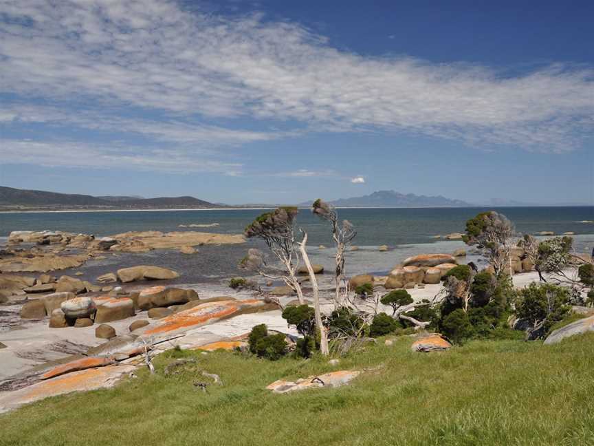 Drive Discovery Central Flinders Island, Whitemark, TAS