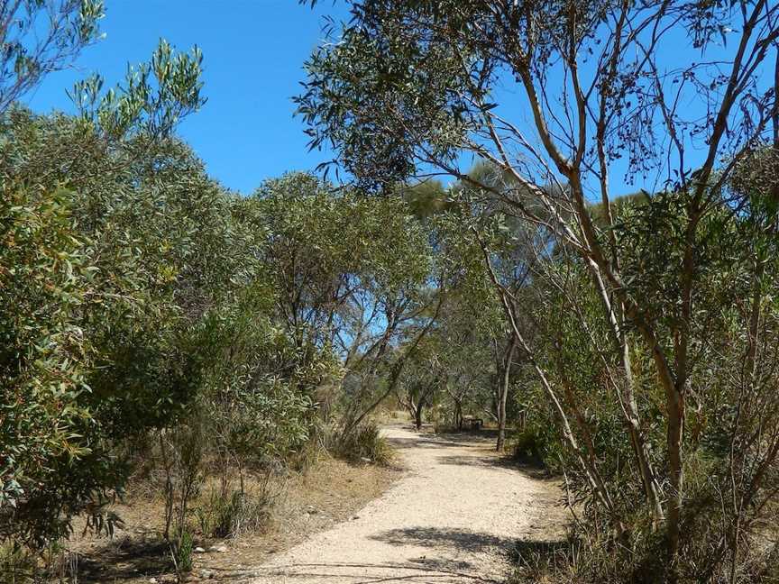 Meningie Lions Walking Trail, Meningie, SA