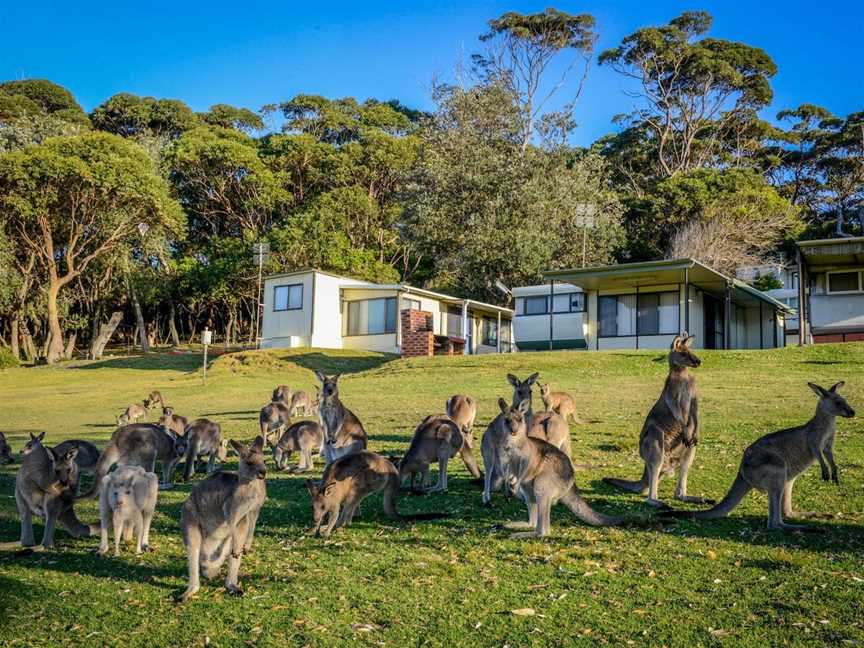 Merry Beach, Kioloa, NSW