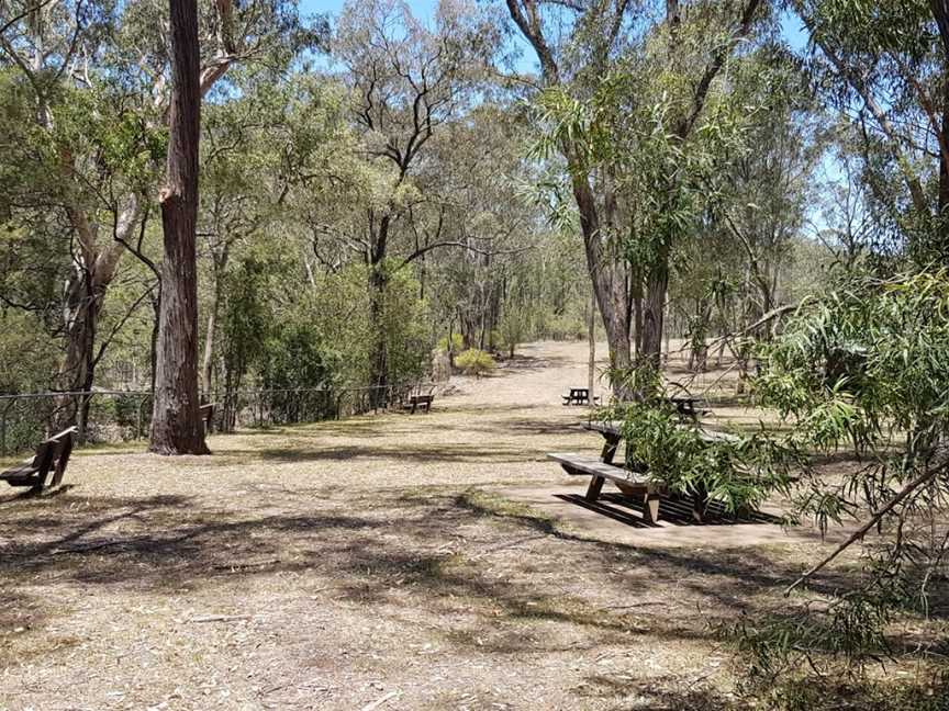 Towarri National Park, Middle Brook, NSW