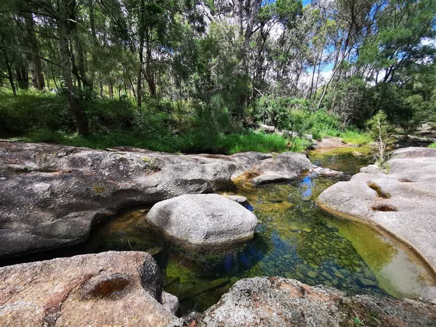 Towarri National Park, Middle Brook, NSW