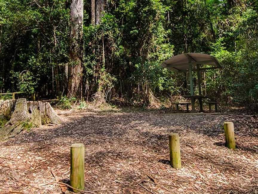 Bird Tree picnic area, Middle Brother, NSW