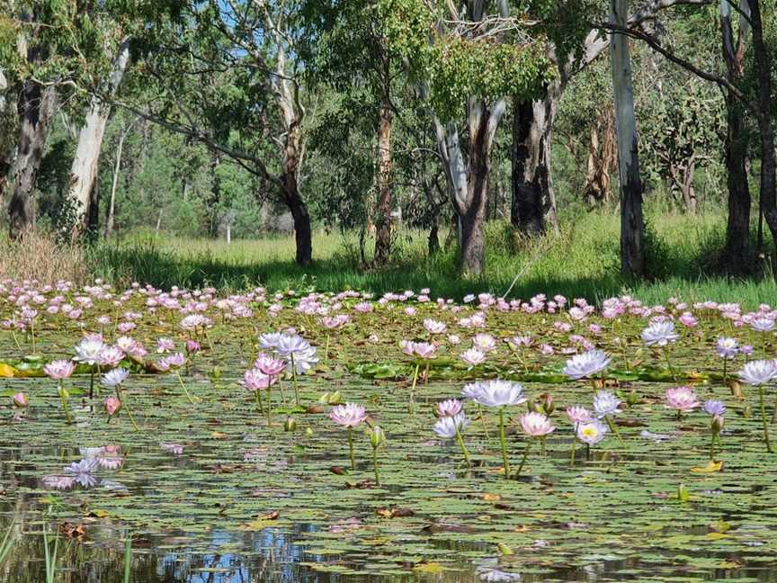 Chinaman's Lagoon, Miles, QLD