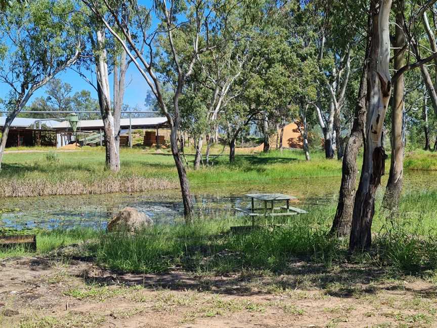 Chinaman's Lagoon, Miles, QLD