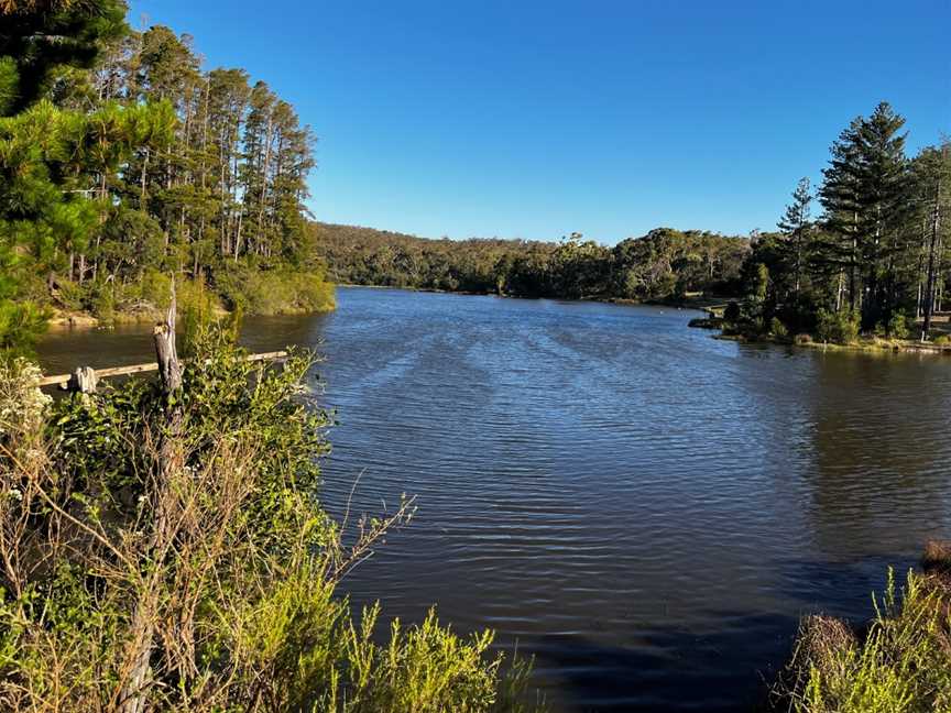 Creswick Regional Park, Creswick, VIC