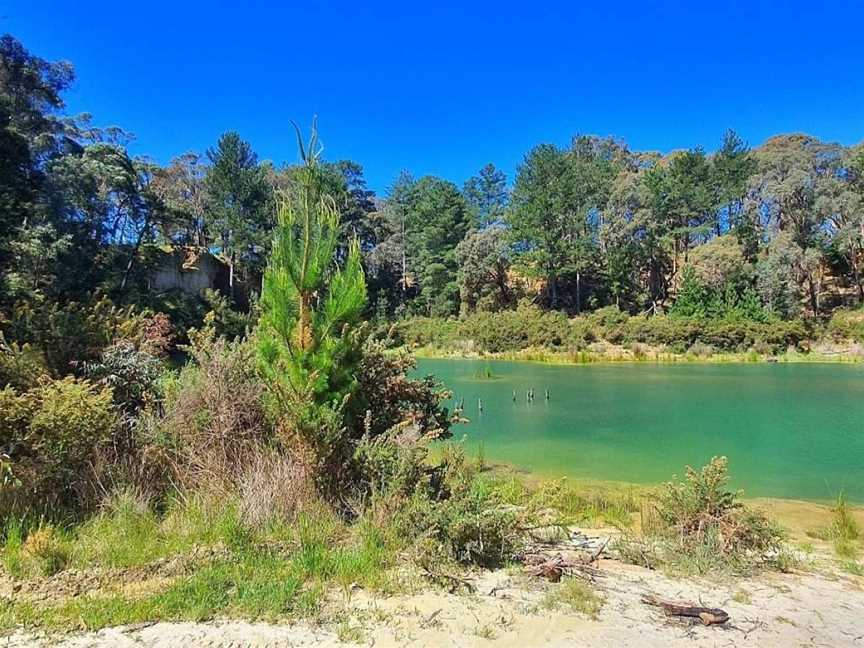 Creswick Regional Park, Creswick, VIC