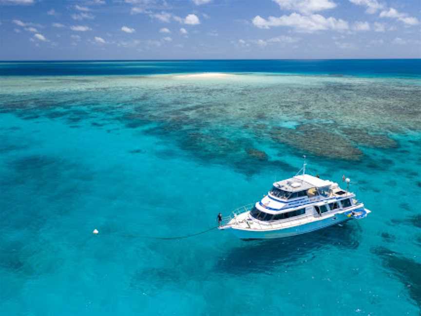 Lady Bowen Dive Site, Mission Beach, QLD