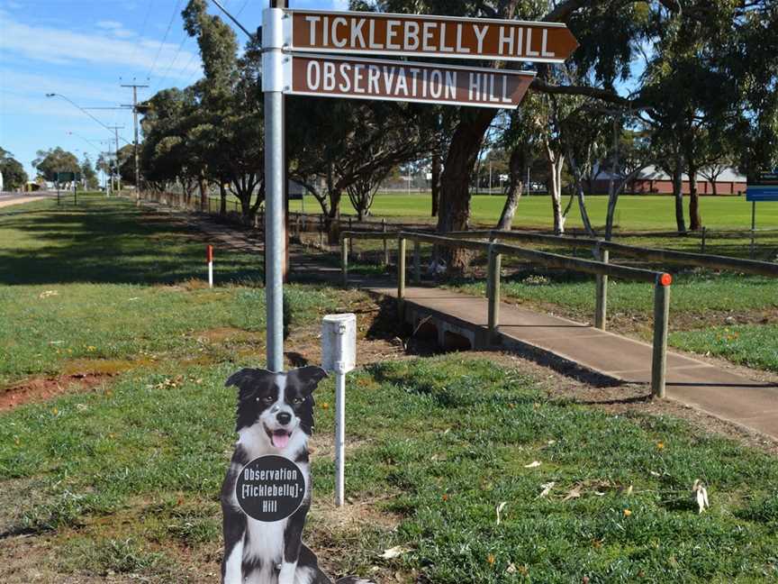 Observation Hill & Lookout, Cleve, SA