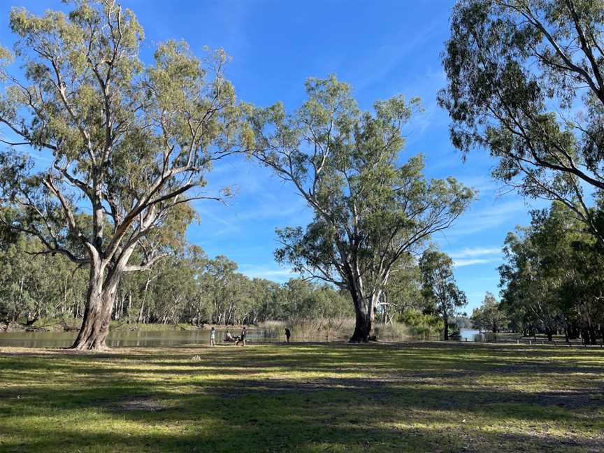 Barmah National Park, Barmah, VIC